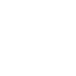 Camera icon with heart and flash.